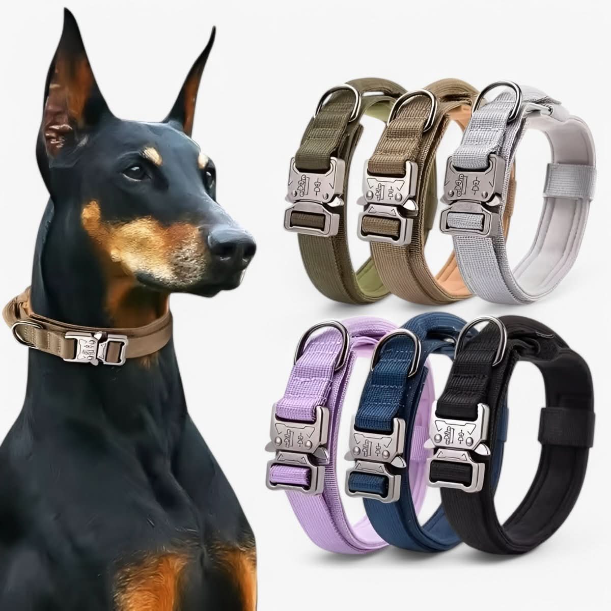 Nylon Dog Collar | Adjustable Tactical Collar with Patch Panel