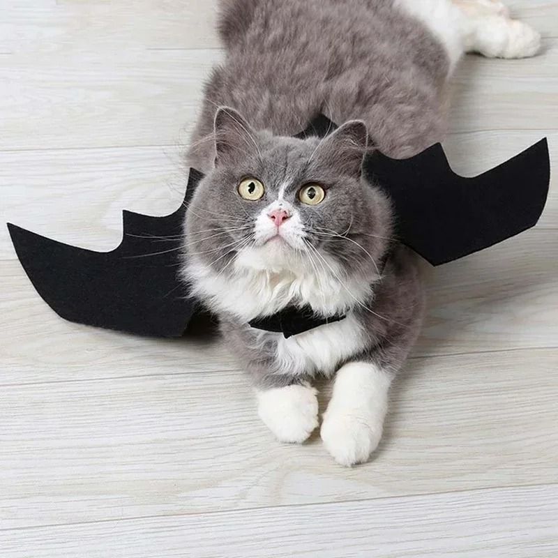 Pet Bat Wings Costume for Halloween | Adjustable Neck and Chest Straps for Cats and Small Dogs | Soft Lightweight Fabric