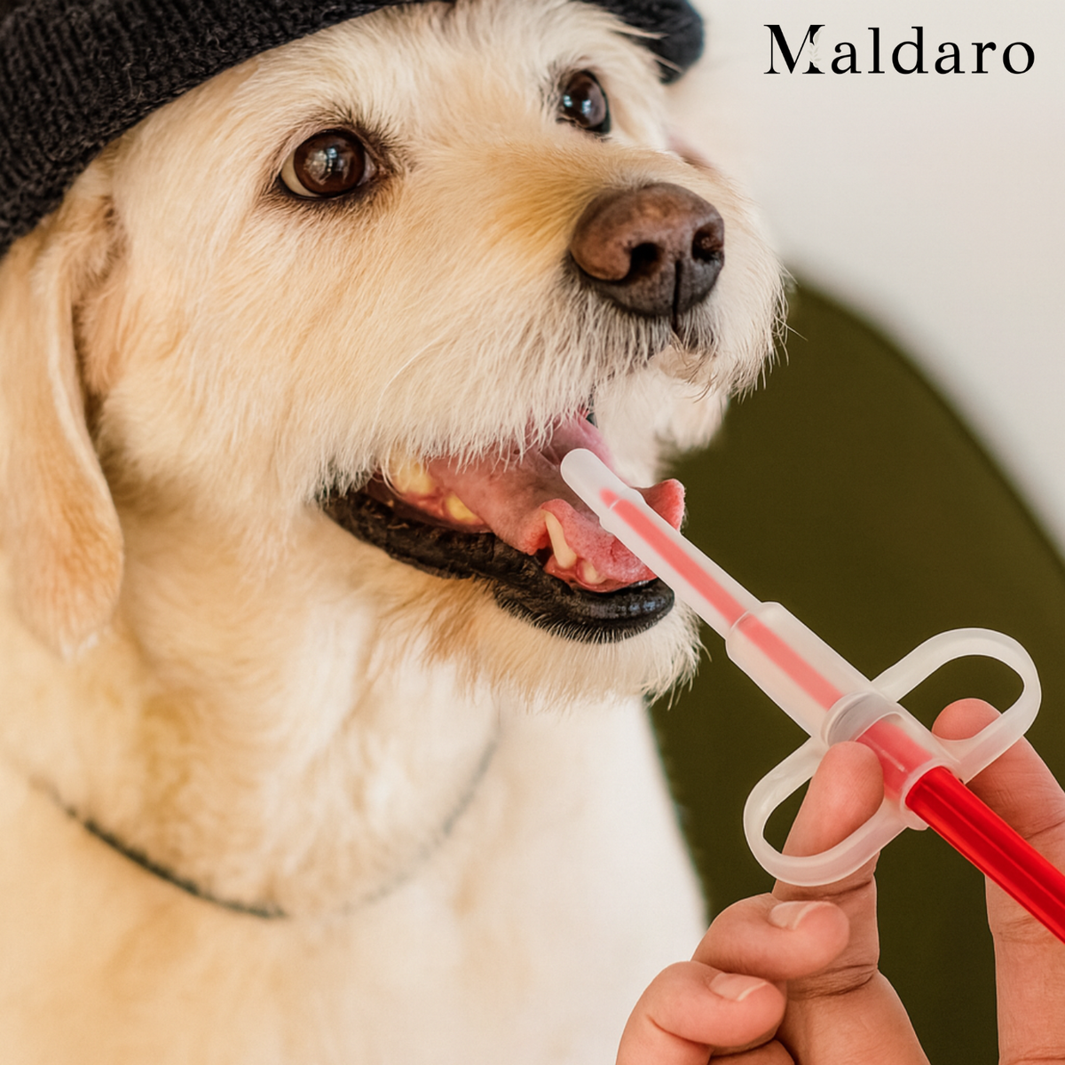 Pet Pill Dispenser Syringe Plastic and Silicone | Leak-Proof Multifunctional Applicator | Stress-Free Dosing for Cats and Dogs