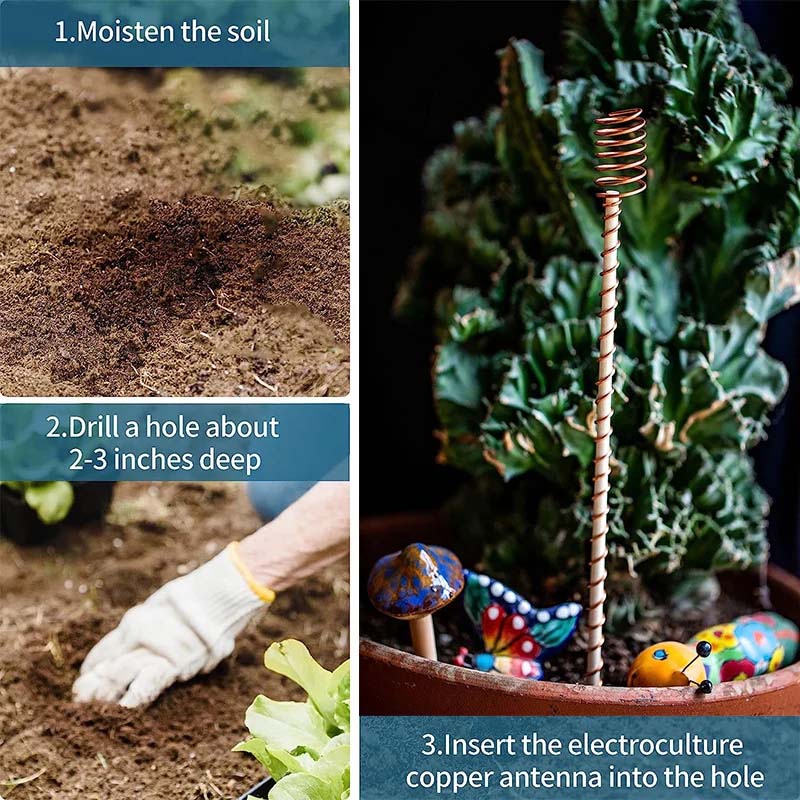 Plant Growth Antenna Stake Pure Copper Garden with No Electricity Needed