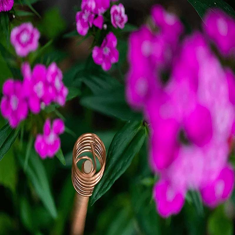 Plant Growth Antenna Stake Pure Copper Garden with No Electricity Needed