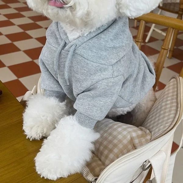 Plush Dog Hoodie | Soft Fleece Lining for Small Breeds | Warm Cosy Fit for Autumn, Winter and Early Spring Walks