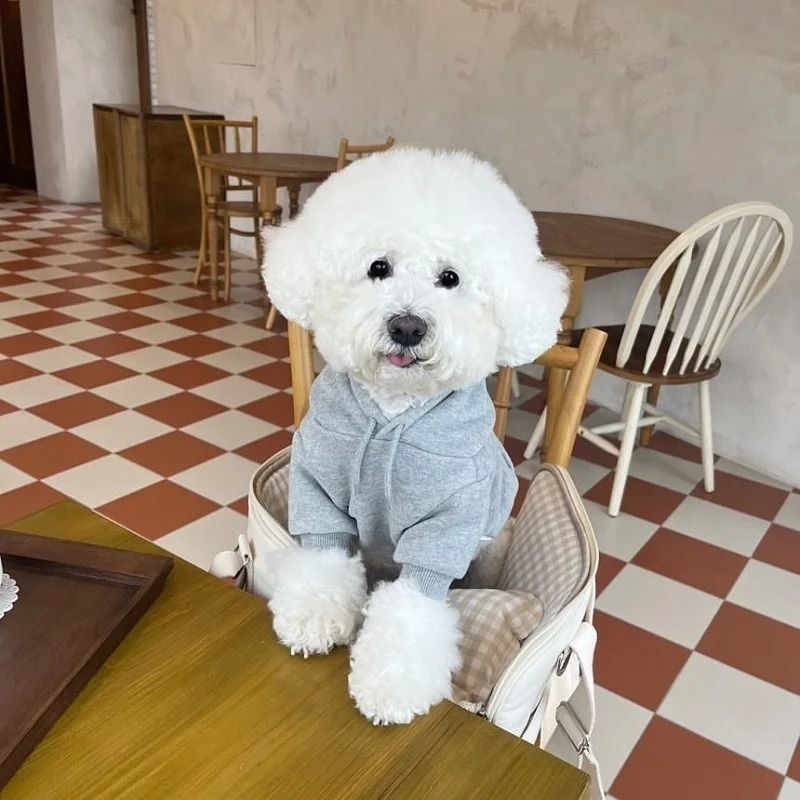 Plush Dog Hoodie | Soft Fleece Lining for Small Breeds | Warm Cosy Fit for Autumn, Winter and Early Spring Walks