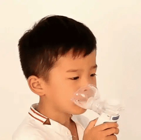 Portable Ultrasonic Nebulizer | Adjustable Airflow, 0.5-5 Micron Fine Mist | USB Rechargeable, Adult & Child Masks