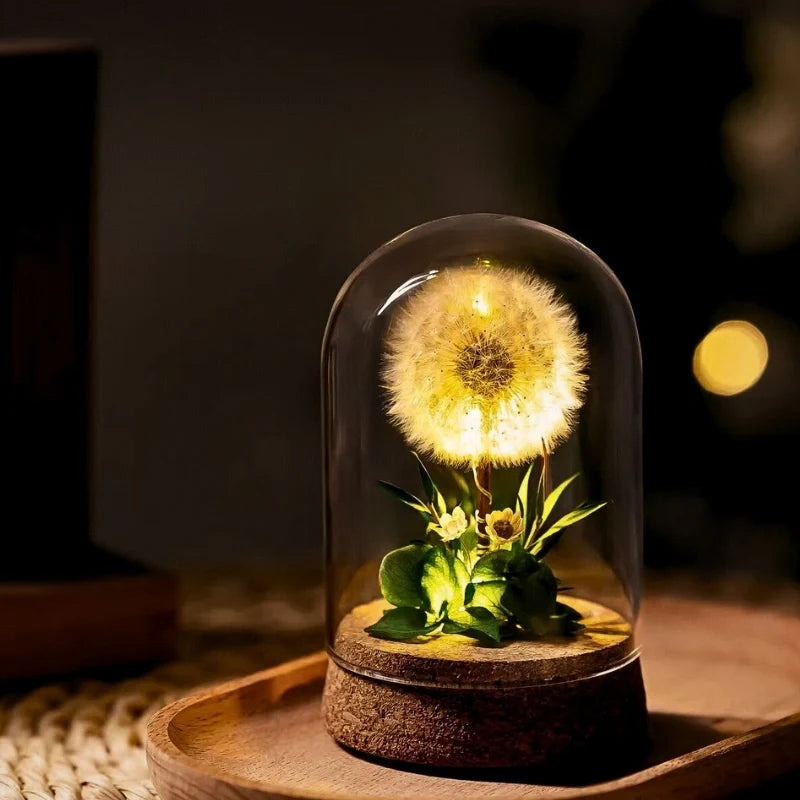 Preserved Flower Glass Dome Night Light | Dried Rose, Dandelion or Poppy-Pinecone Design | Warm White Ambient Glow