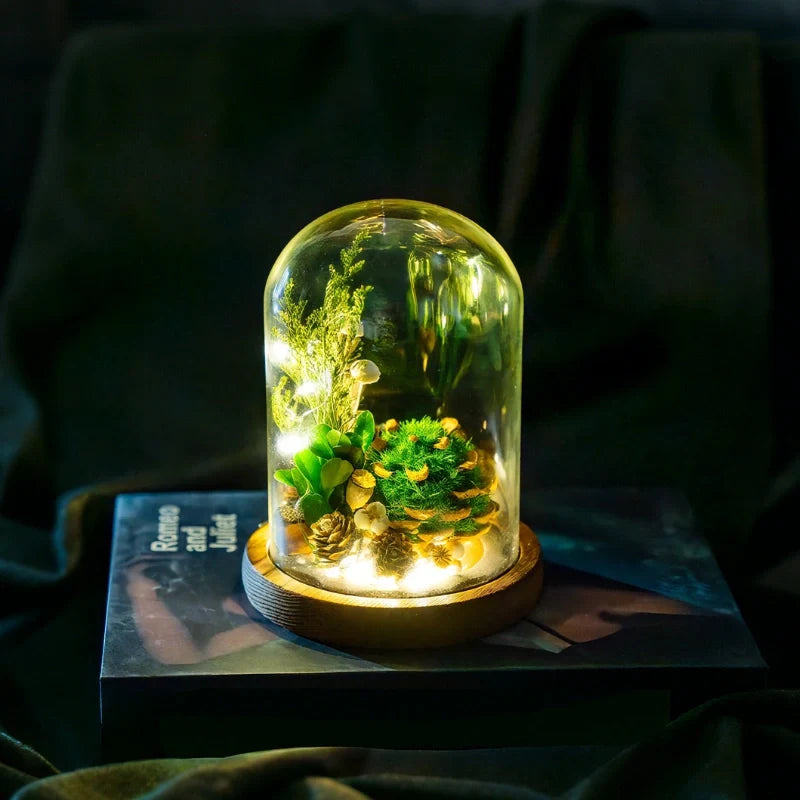 Preserved Flower Glass Dome Night Light | Dried Rose, Dandelion or Poppy-Pinecone Design | Warm White Ambient Glow