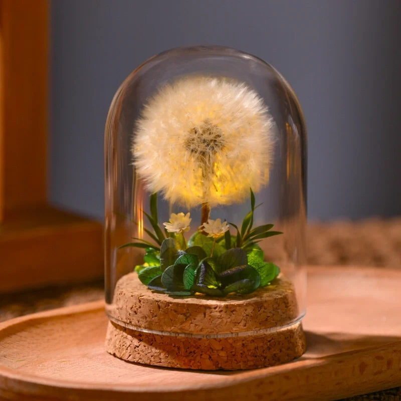 Preserved Flower Glass Dome Night Light | Dried Rose, Dandelion or Poppy-Pinecone Design | Warm White Ambient Glow