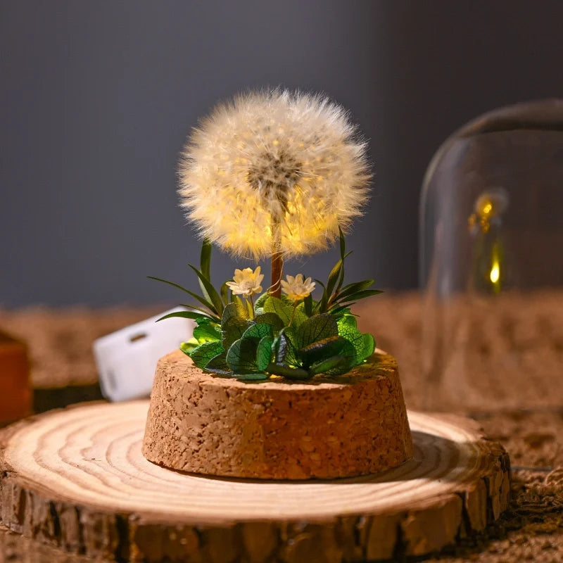Preserved Flower Glass Dome Night Light | Dried Rose, Dandelion or Poppy-Pinecone Design | Warm White Ambient Glow