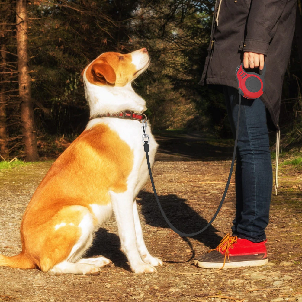 Retractable Dog Leash | One-Button Retract with Tangle-Free Safety Grip | Up to 5m Length for Walking & Training