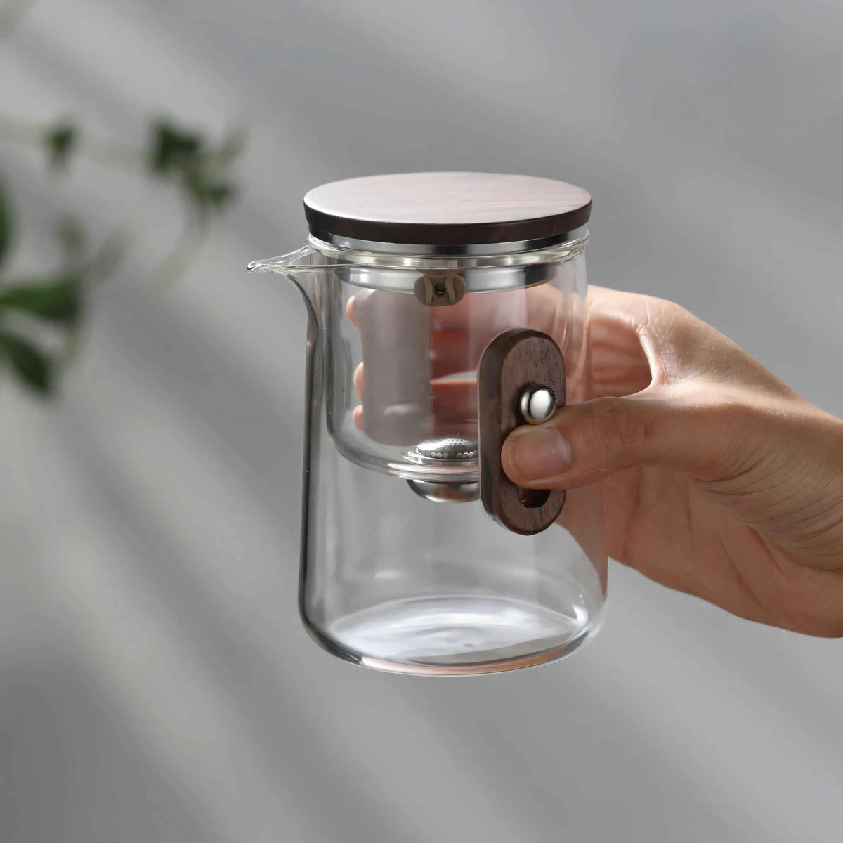 Travel Glass Tea Set | Built-In Strainer, Hard Carry Case