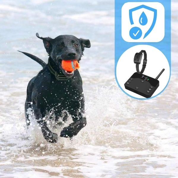 Wireless Dog Fence Training Collar | Sound, Vibration and Static Modes | Covers Up to 500m, Rechargeable & Waterproof
